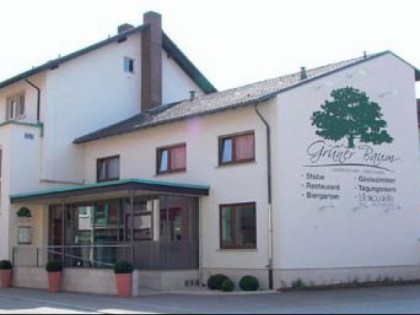 Foto: Gr&amp;uuml;ner Baum