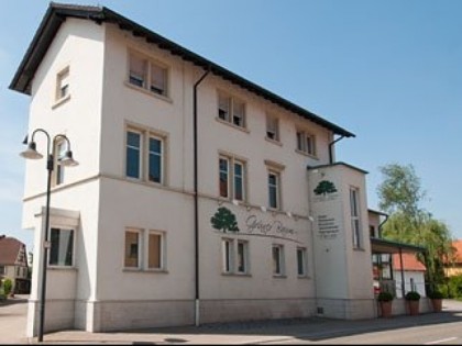 Foto: Grüner Baum